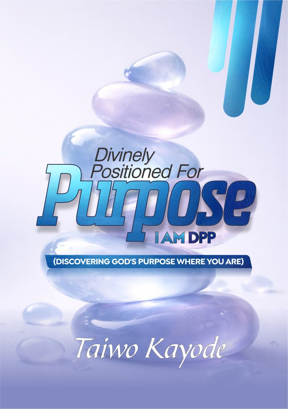 DIVINELY POSITIONED FOR PURPOSE - I AM DPP: Discovering God's Purpose Where You Are