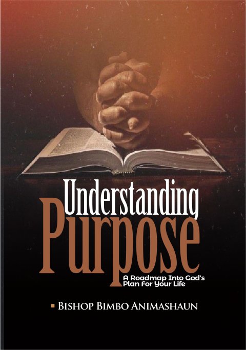 UNDERSTANDING PURPOSE