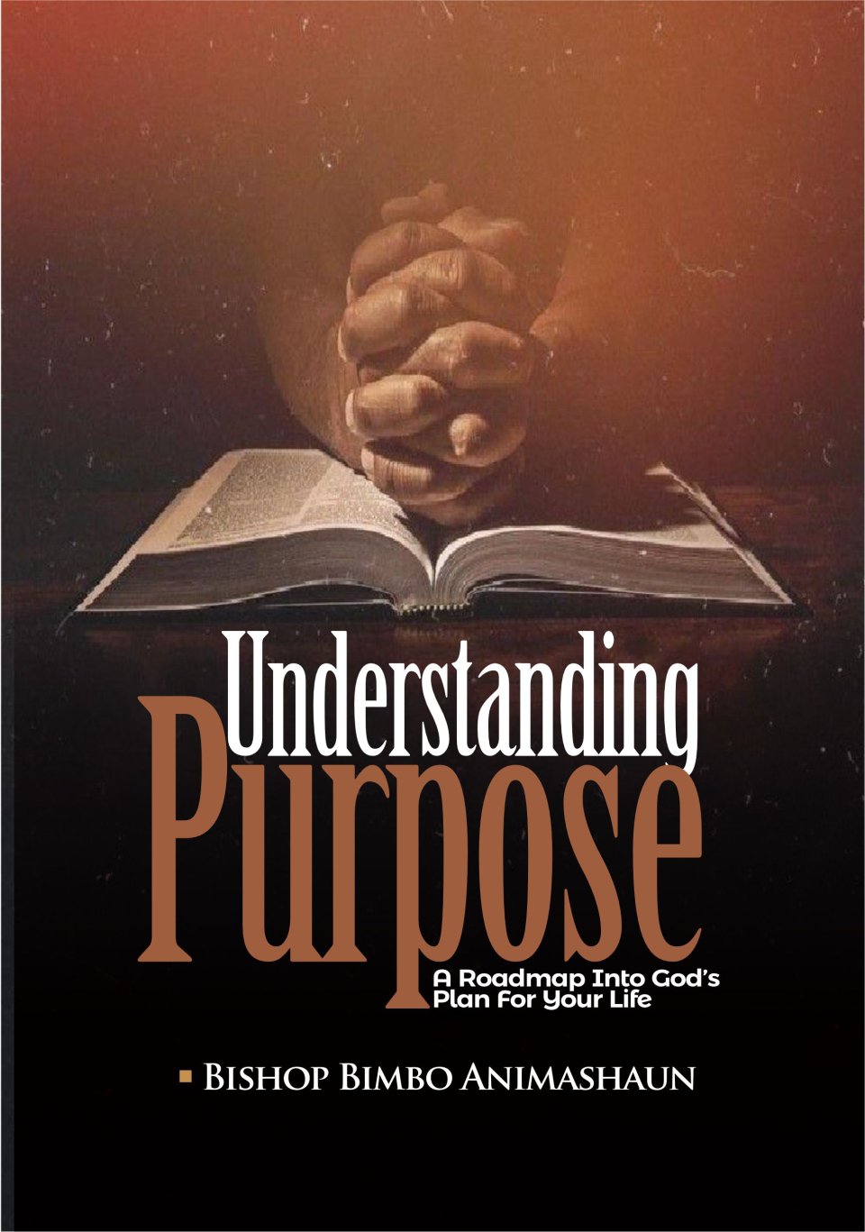 UNDERSTANDING PURPOSE